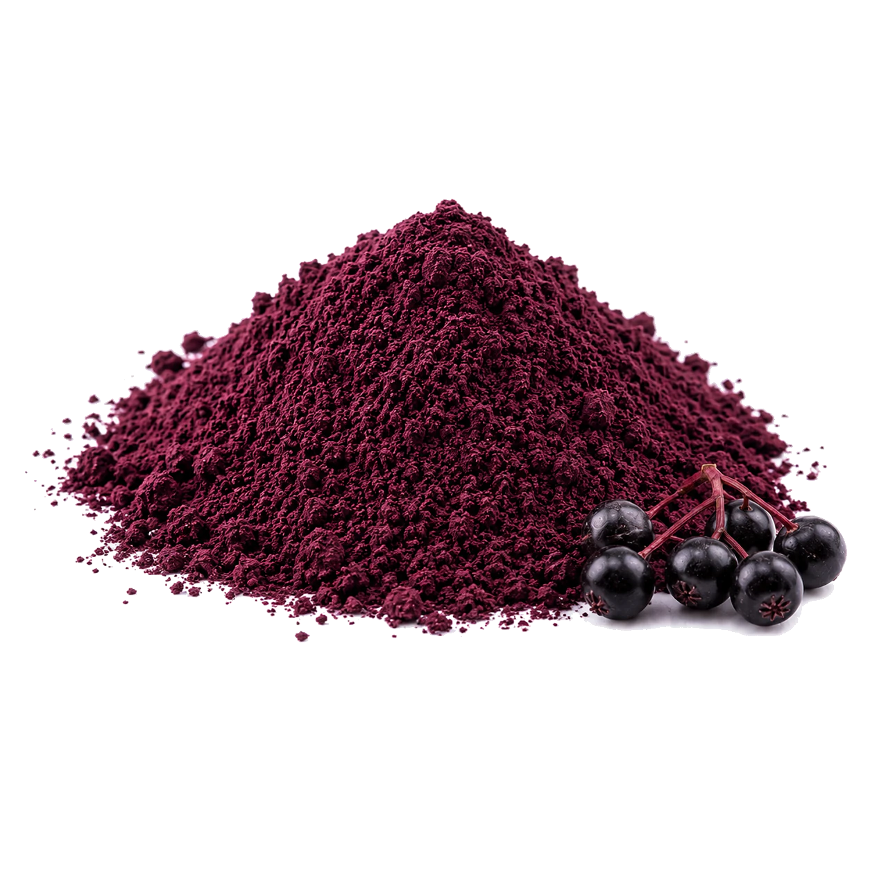 Elderberry Extract