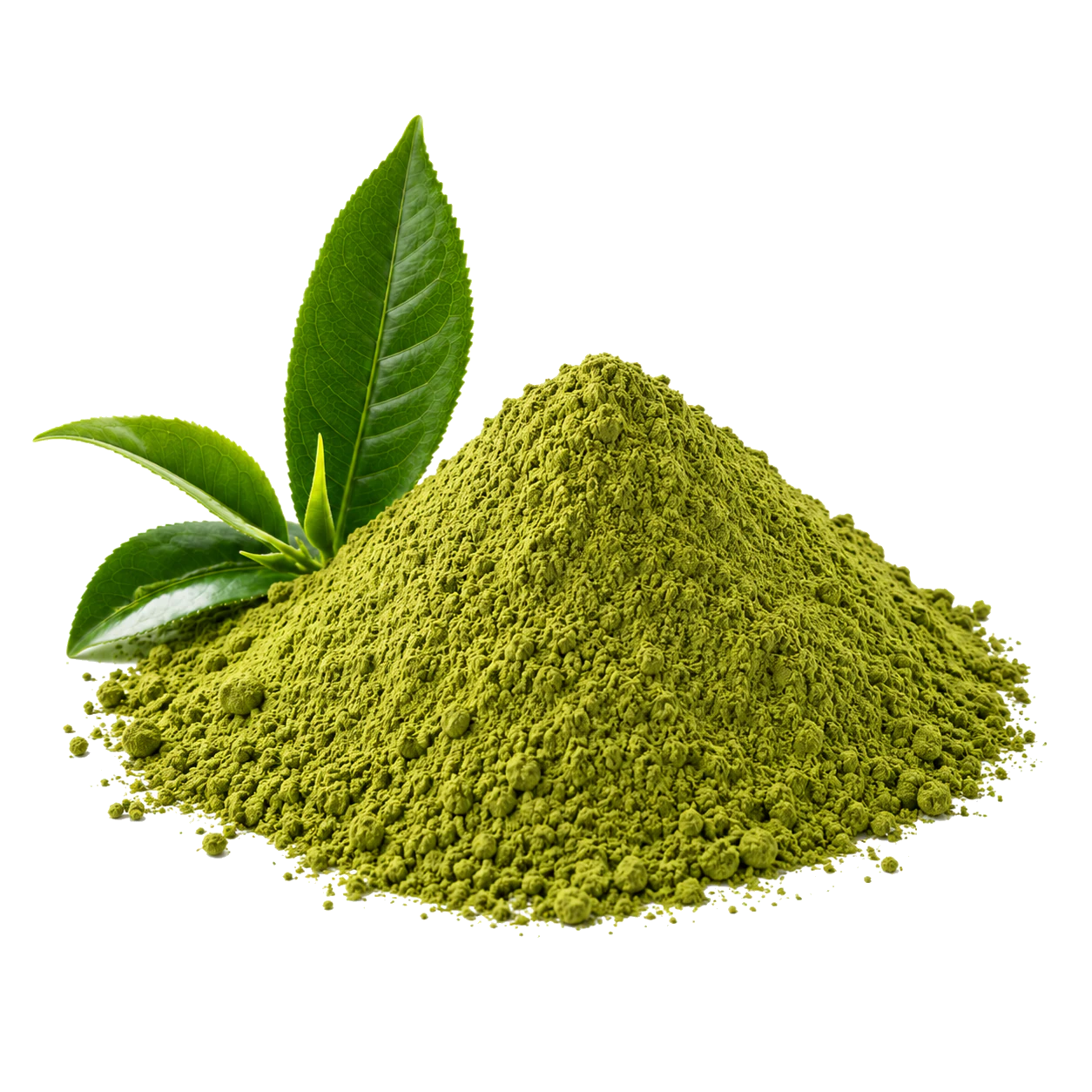 Green Tea Extract