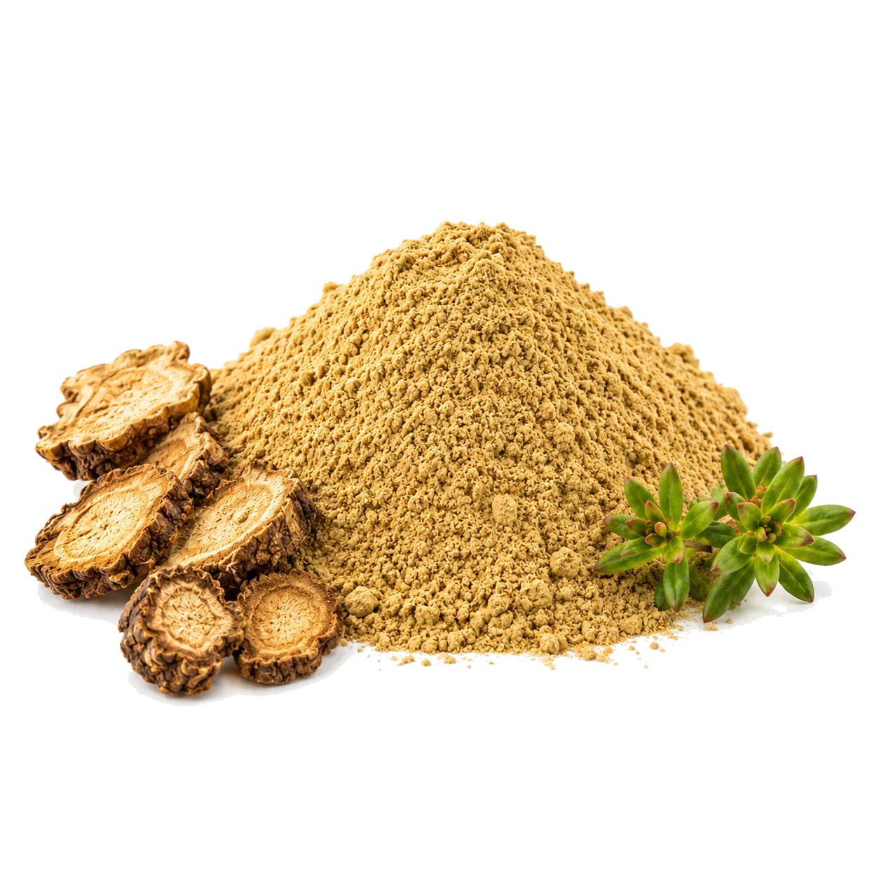 Rhodiola Rosea Extract