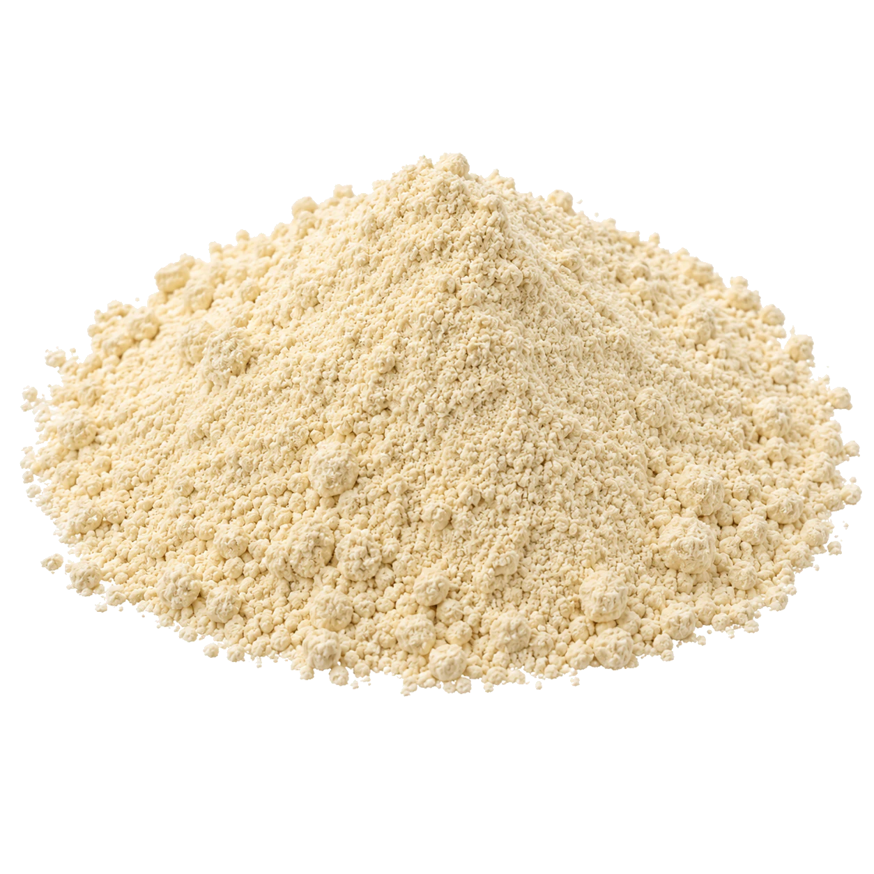 Rice Protein